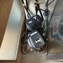 熱帯魚・水草・水槽・ろ過機一式譲ります。の画像