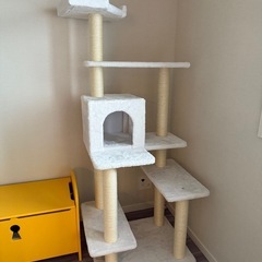 【未使用に近い】Mau キャットタワー　プルミエの画像