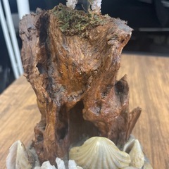 ハンドメイド木製の鷲の画像