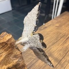 ハンドメイド木製の鷲の画像