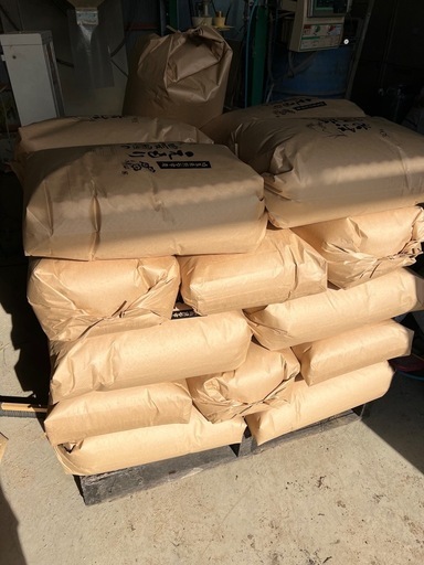 モチ玄米30k　新大正モチ　新米　引き取り限定