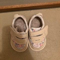 靴　14.0の画像