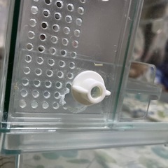 ハムスター ケージ グラスハーモニー600の画像