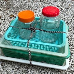 保存ビン&ザル&グラスマグの画像