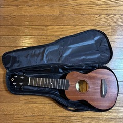 ガズの初めてウクレレ(中古)の画像