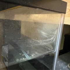 水槽、上部フィルターの画像