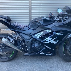 ニンジャ250 ABS KRT winter TEST EDITIONの画像