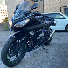 ニンジャ250 ABS KRT winter TEST EDITIONの画像