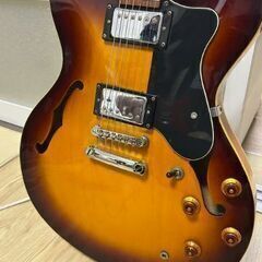 ES335タイプの画像