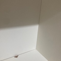 IKEA 本棚の画像