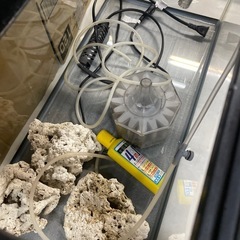 水槽60cmセット　訳ありの画像