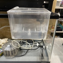 水槽60cmセット　訳ありの画像