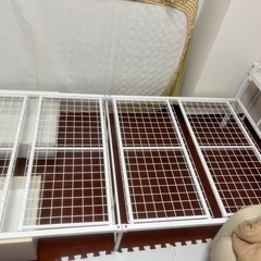 シングルパイプベッド ※至急譲り先を探しておりますの画像