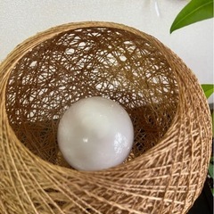 ナチュラル編み込みランプの画像
