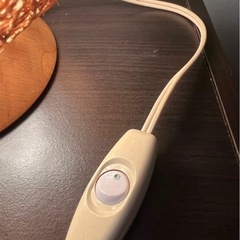 ナチュラル編み込みランプの画像