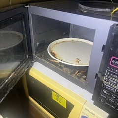 🉐オーブンレンジ　汚れありの画像