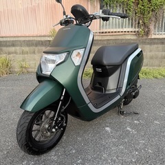 ホンダ　ダンク　AF78 マッドグリーン　低走行　動画あり　大阪の画像