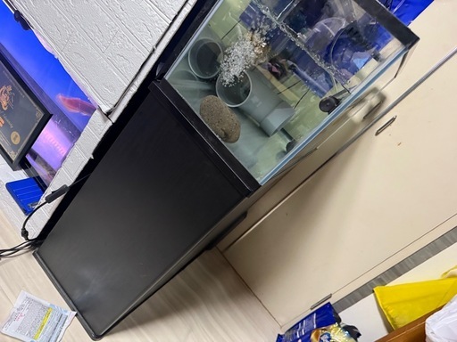 水槽セット