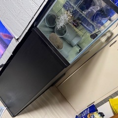 水槽セットの画像