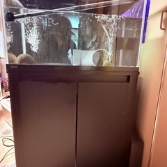水槽セットの画像