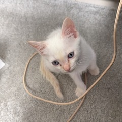 8/20生まれ男の子