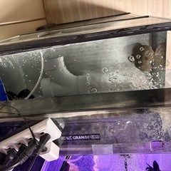 水槽セットの画像