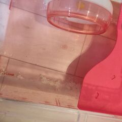 ルーミィ ピンクの画像