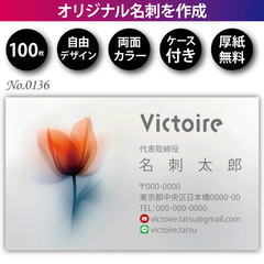 名刺印刷 100枚 両面 フルカラー 紙ケース付 No.0…