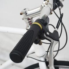 VIANOVA REGALIA クロスバイクの画像