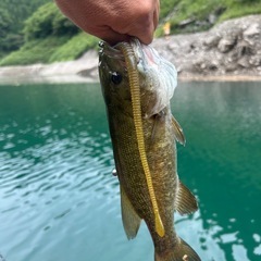 カヤック/supフィッシング仲間募集 − 埼玉県