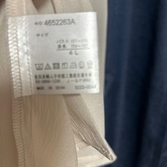 シースルーブラウスの画像