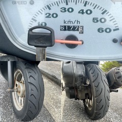 配達🉑🚚ライブDio 原付の画像