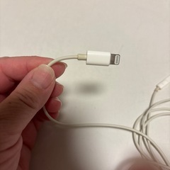 iPhone 
イヤホンの画像