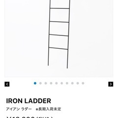 アイアンラダーの画像