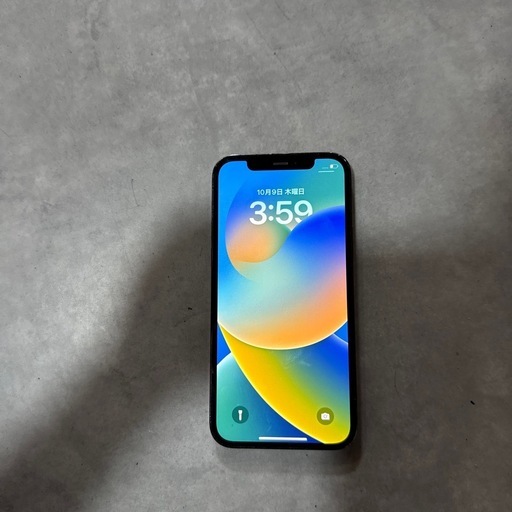 iPhone iPhone12 Pro256GB