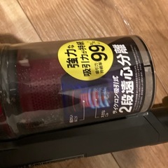 掃除機 アイリスオーヤマ 2023年製の画像