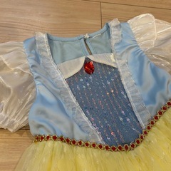 【引き取り限定】子どもテーマドレス　白雪姫　の画像