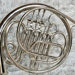 Taishan ダブルフレンチホルン TSHR-850の画像
