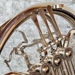 Taishan ダブルフレンチホルン TSHR-850の画像