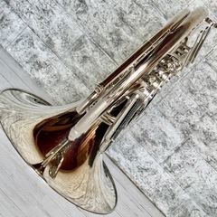 Taishan ダブルフレンチホルン TSHR-850の画像