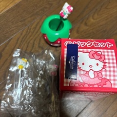ご購入者様決定！！ハローキティ.ピックセットの画像