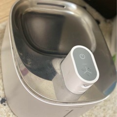ペットの画像