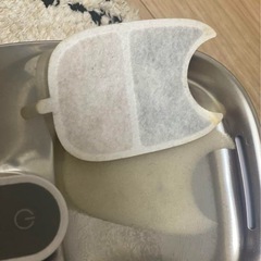 ペットの画像