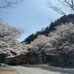【未経験歓迎】化粧品工場での軽作業（梱包・ラベル貼り・事務補助）／週3日〜・4時間〜OK／車通勤◎の画像