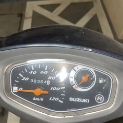 スズキの画像