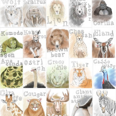 動物のイラスト１枚　フレーム付の画像