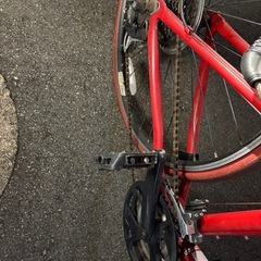 TREK トレック自転車の画像