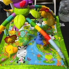Fisher Price フィッシャープライス レインフォレスト・デラックスジムの画像