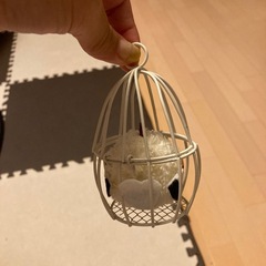 シマエナガの画像