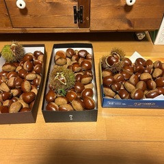 栗（大粒1.1Kg）の画像